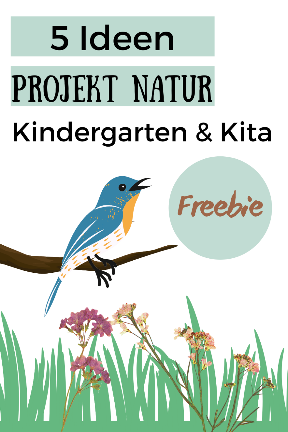 Kindergarten: Die 5 besten Ideen zum Projekt Natur - kinderlachen-ideen