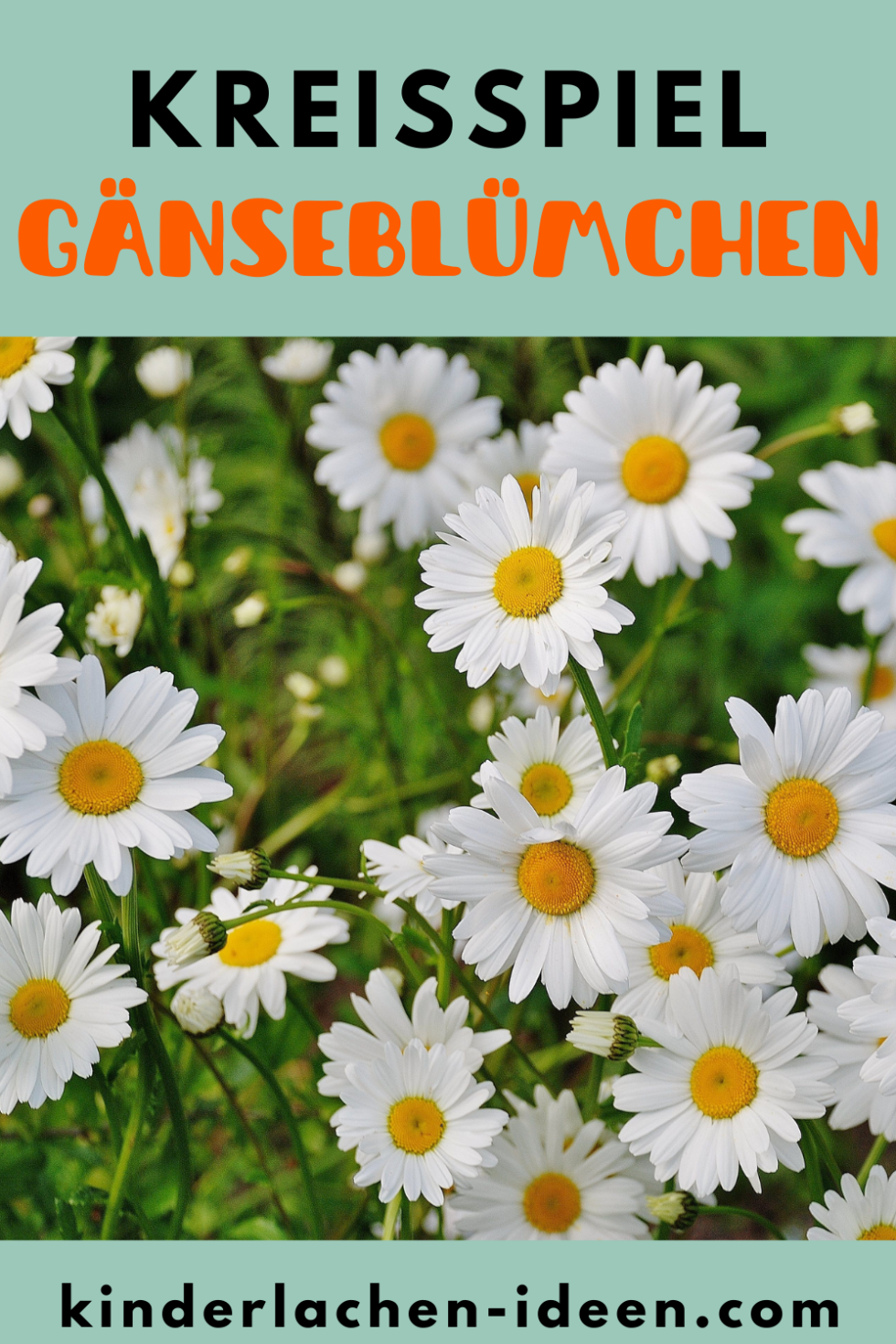 Morgenkreis: Kreisspiel Blume - kinderlachen-ideen