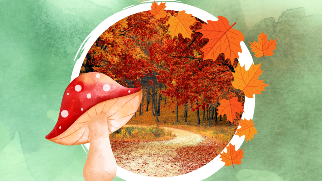  Kindergarten: Spiel-Lied Herbst - kinderlachen-ideen Bildidee 