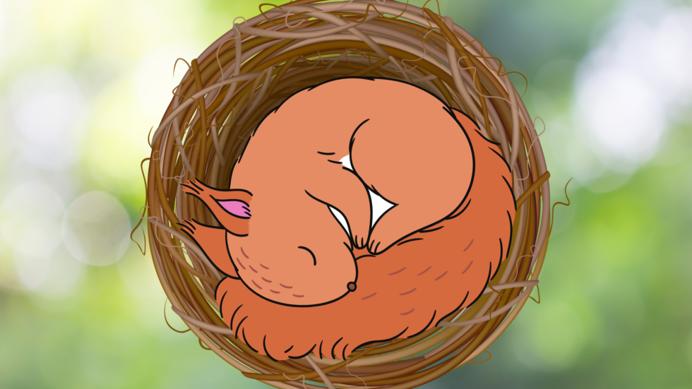  Fingerpuppen-Geschichte "Eichhörnchen" - kinderlachen-ideen 