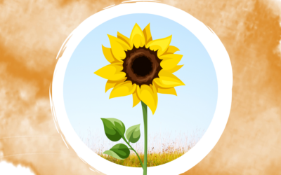 Geschichtensäckchen Sonnenblume
