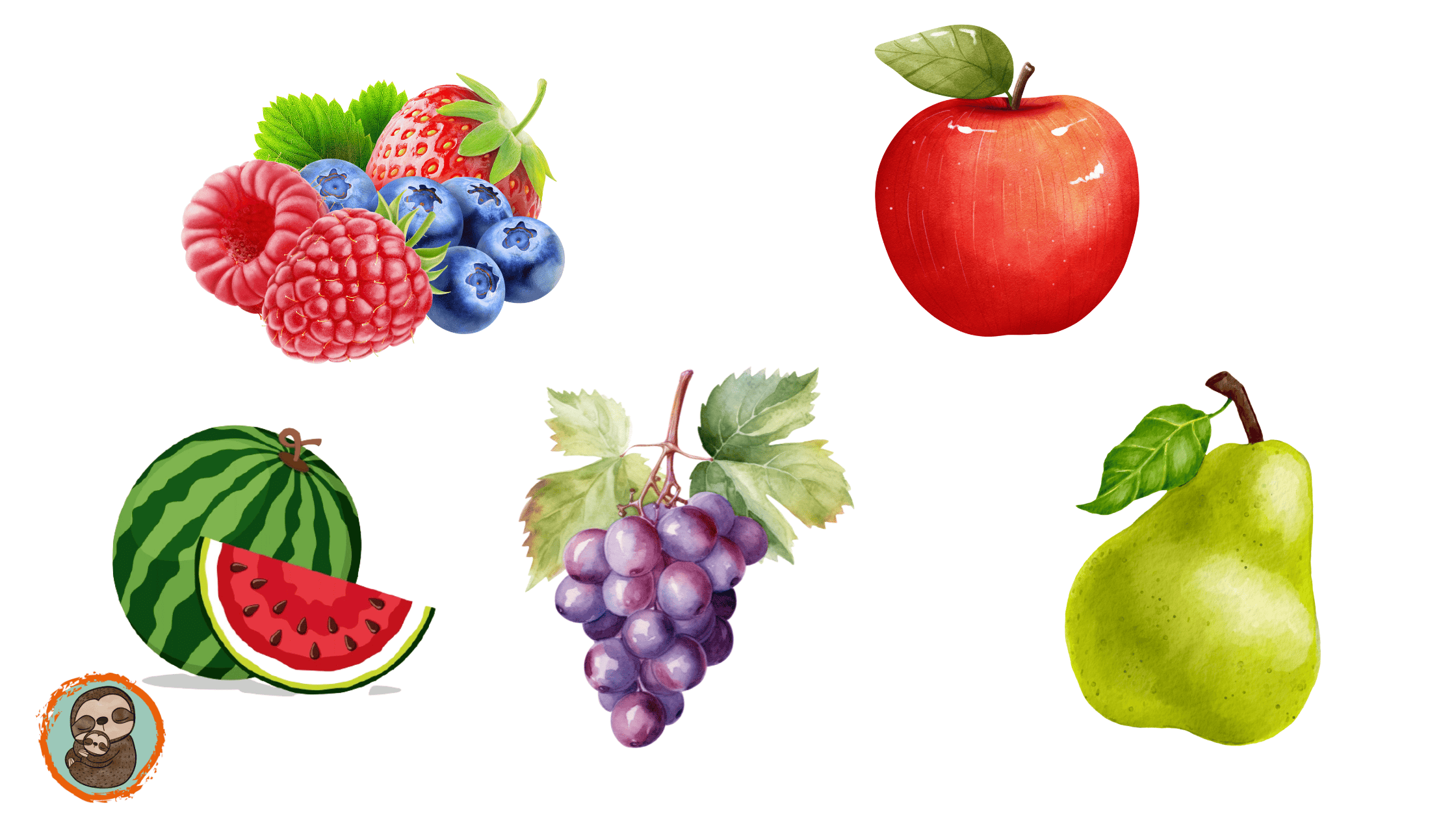 Bild: Trauben, Erdbeere, Himbeeren, Heidelbeeren, Apfel, Wassermelone, Birne
