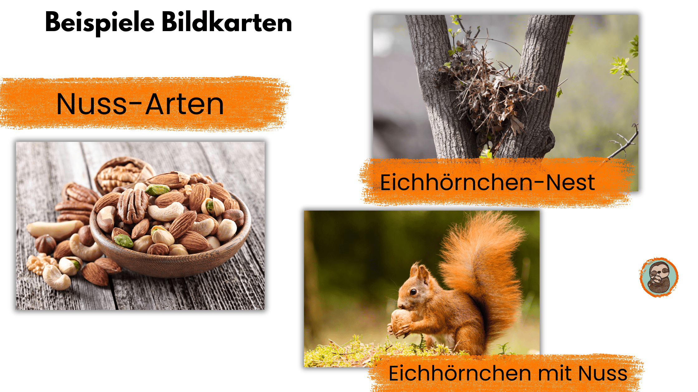Bildkarten mit Eichhörnchen Bildern