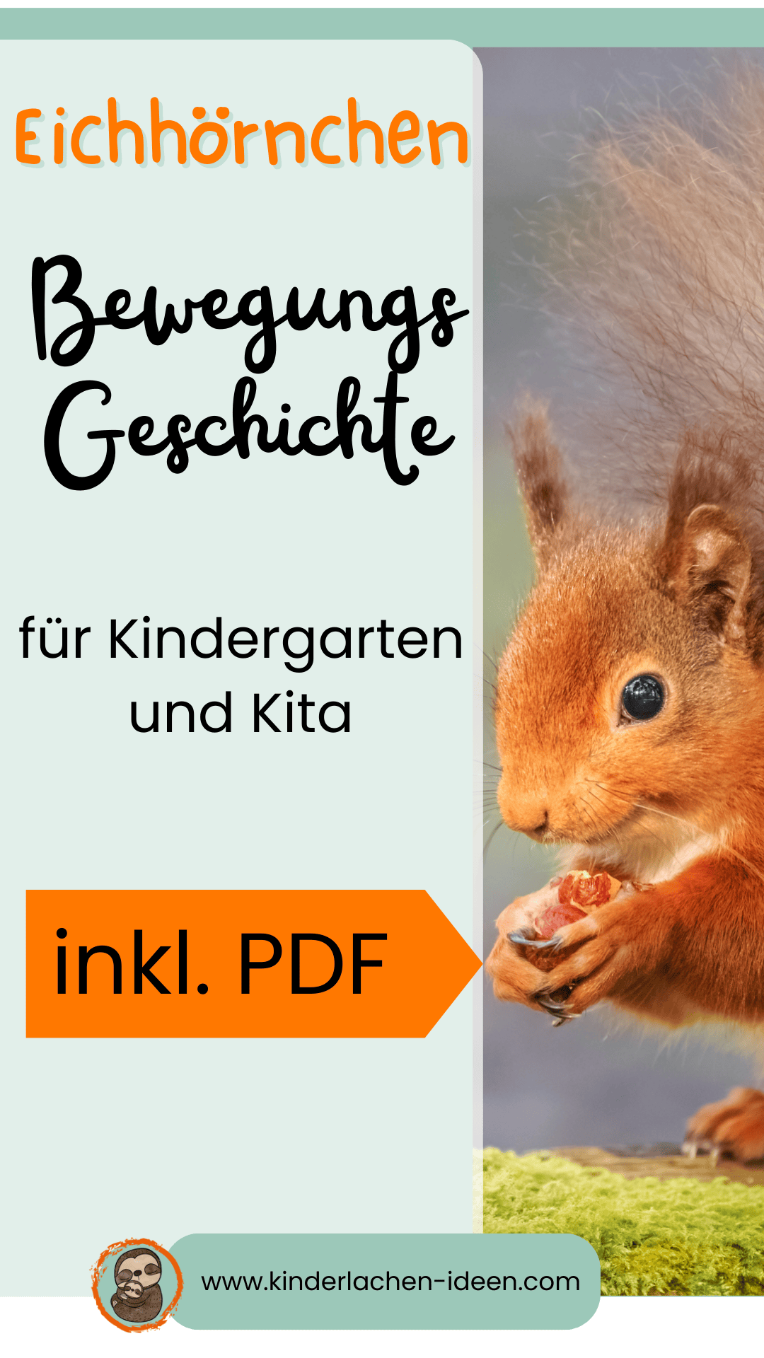 Eichhörnchen Bild. Text: Eichhörnchen Bewegungsgeschichte für Kindergarten und Kita.