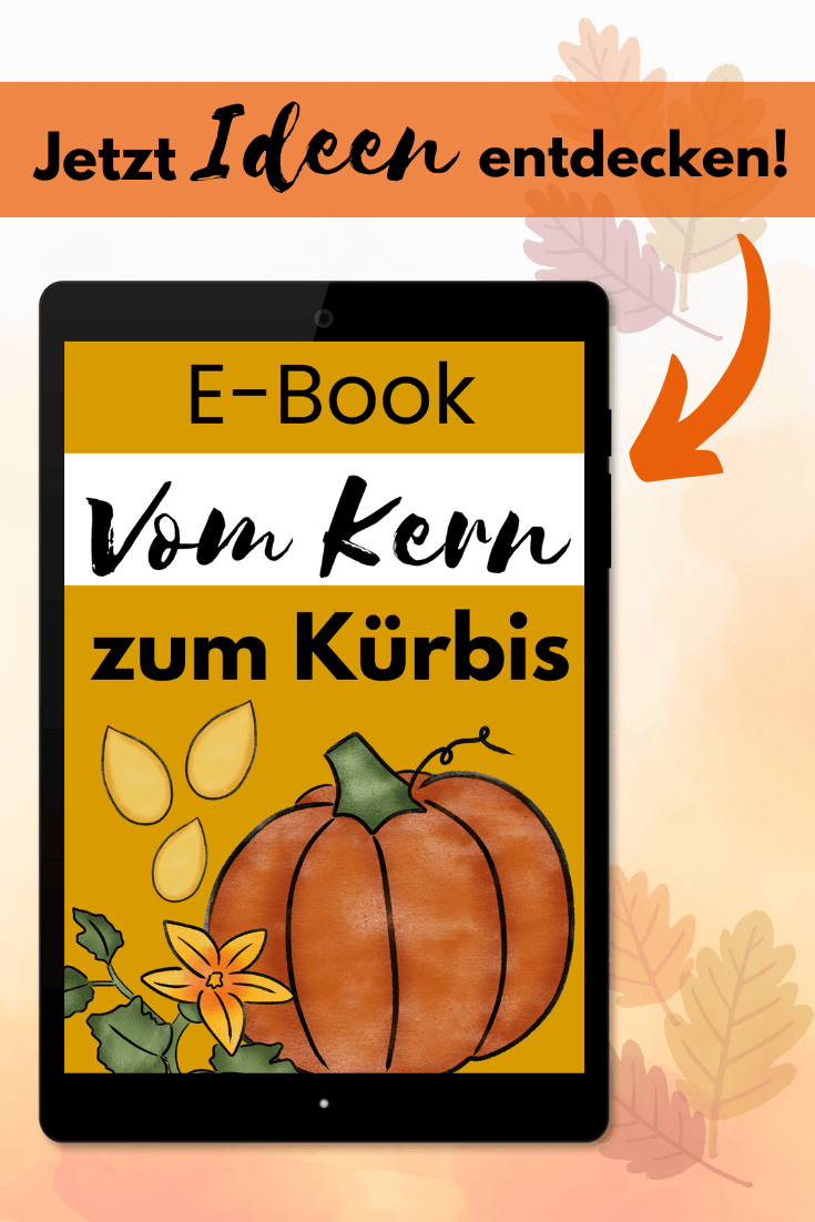 E-Book Kürbis