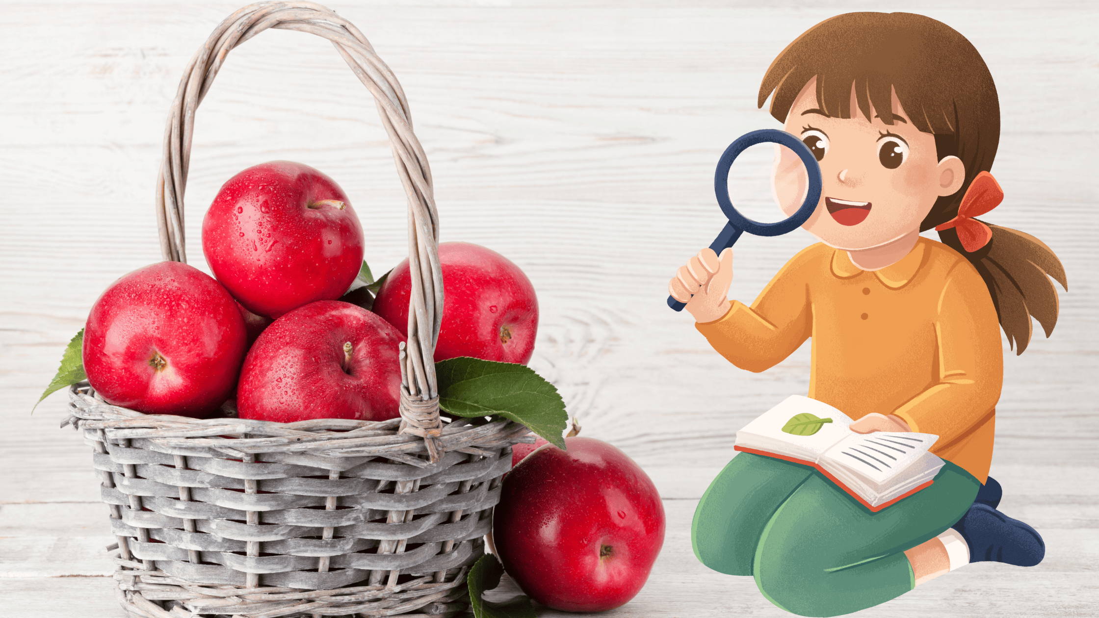 Kreisspiel Apfel Bild: Korb mit Äpfeln. Illustration: Mädchen mit Lupe und Buch.