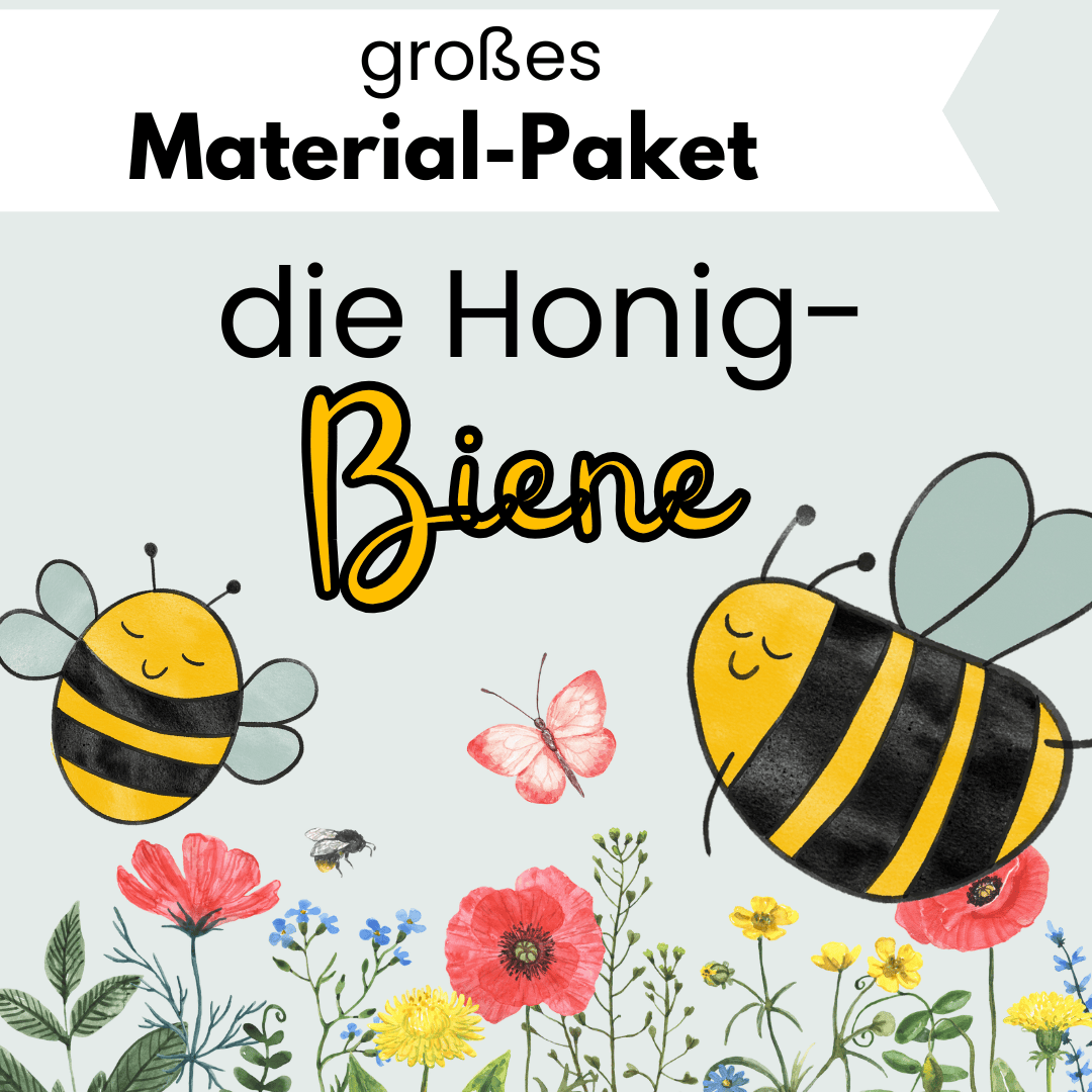 Honig-Biene Material-Paket für den Kindergarten