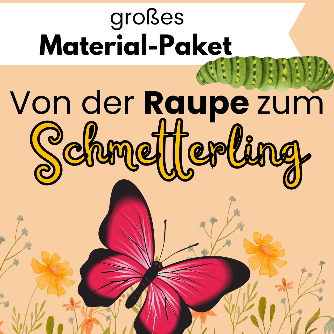 Von der Raupe zum Schmetterling- Material-Paket für den Kindergarten