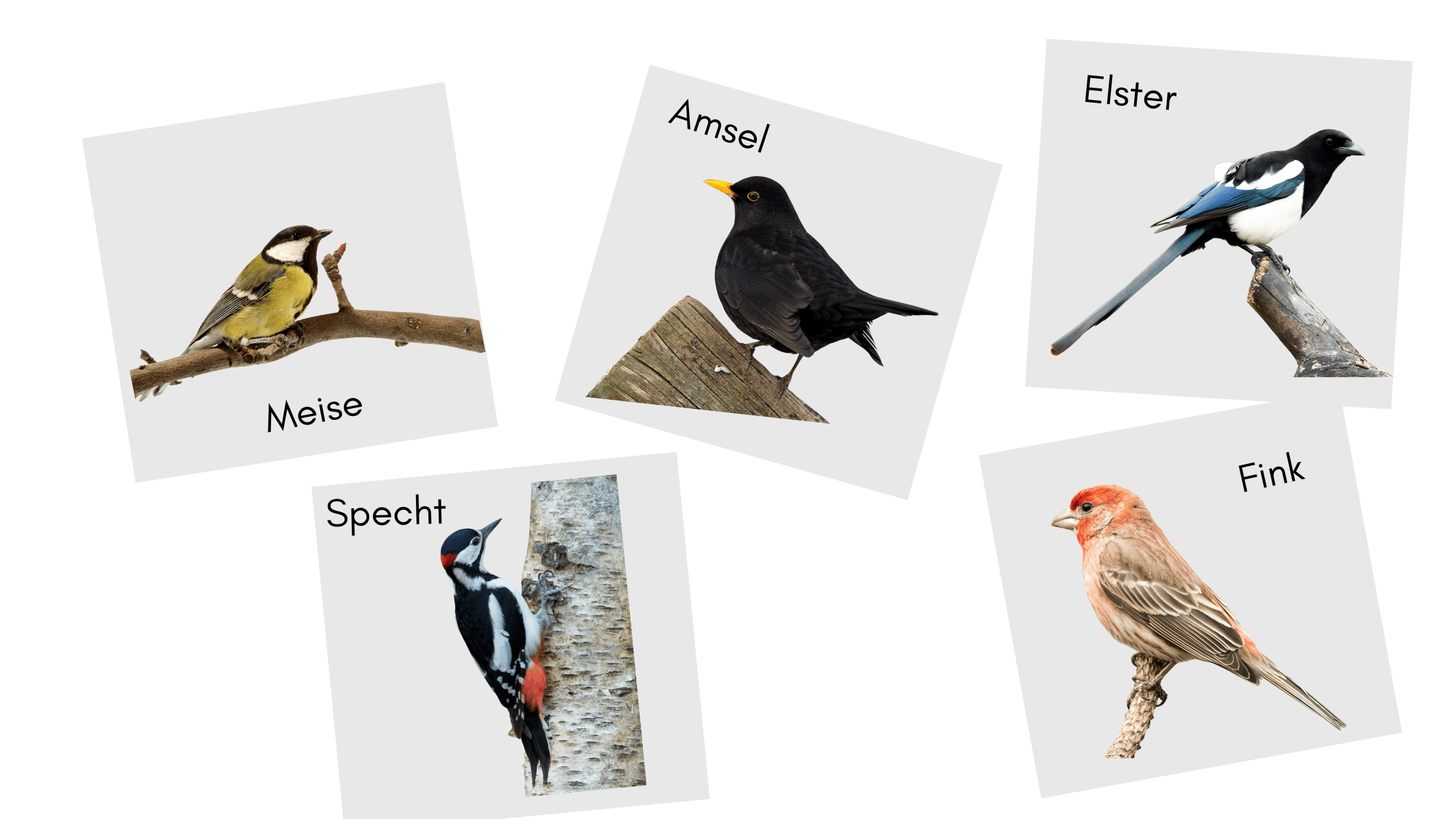 Geschichtensäckchen Vögel im Winter 