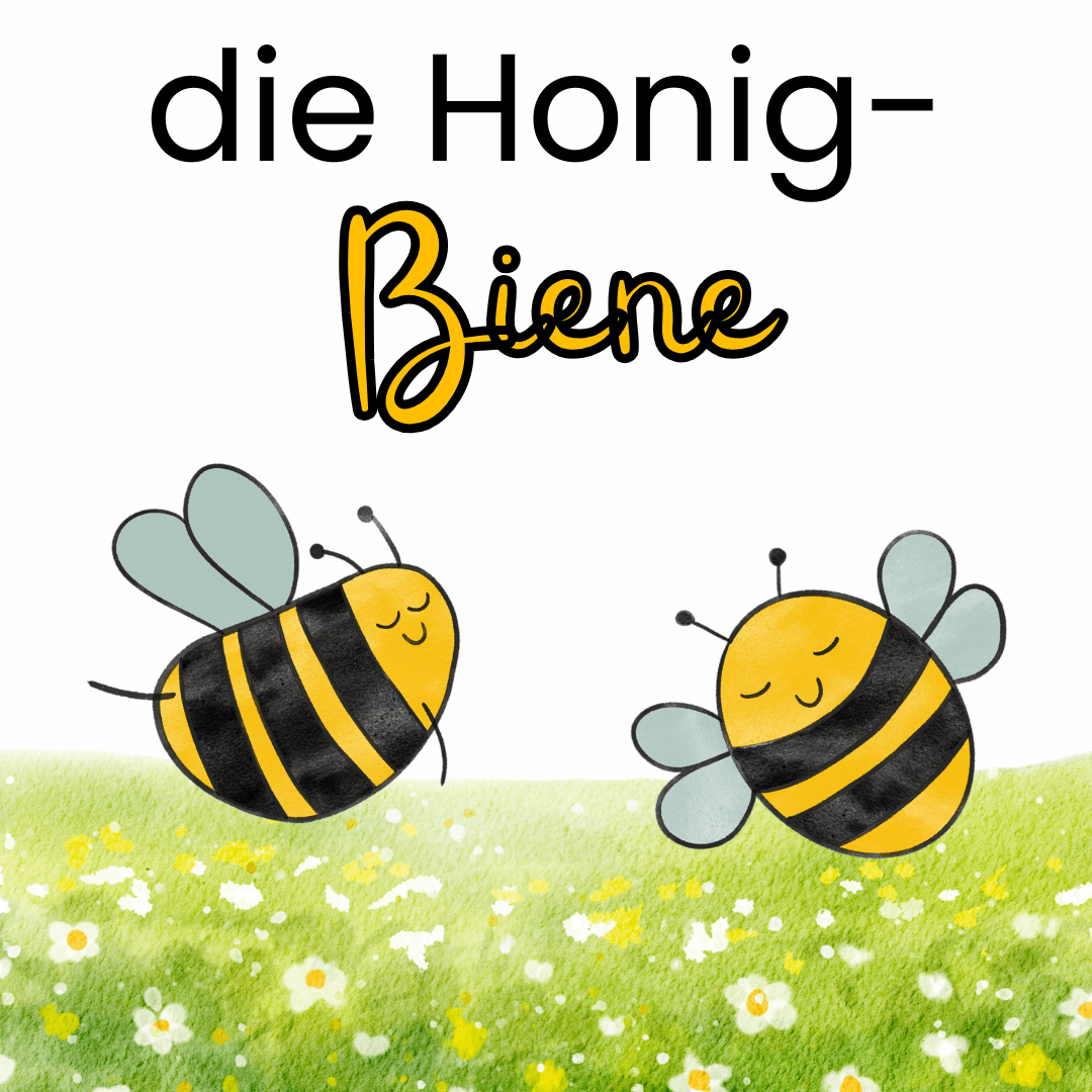 Material-Paket Kindergarten Kita Biene
